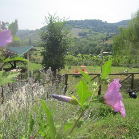 Le Spighe Agriturismo Чезена Екстериор снимка