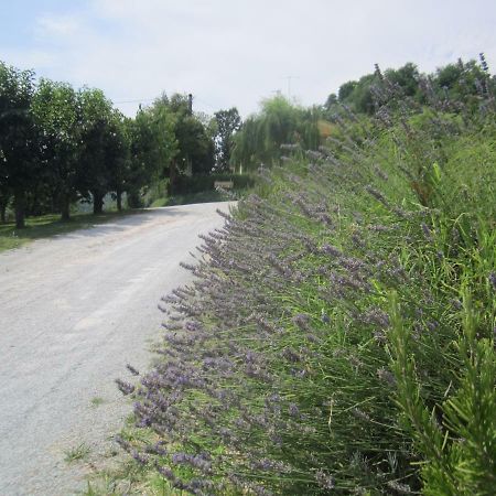 Le Spighe Agriturismo Чезена Екстериор снимка