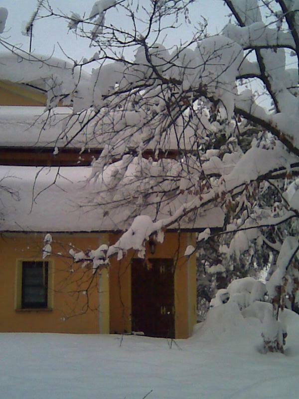 Le Spighe Agriturismo Чезена Екстериор снимка