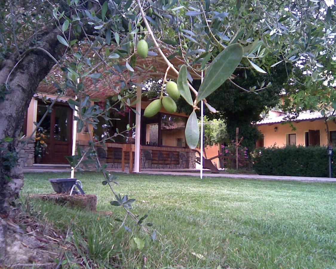 Le Spighe Agriturismo Чезена Екстериор снимка