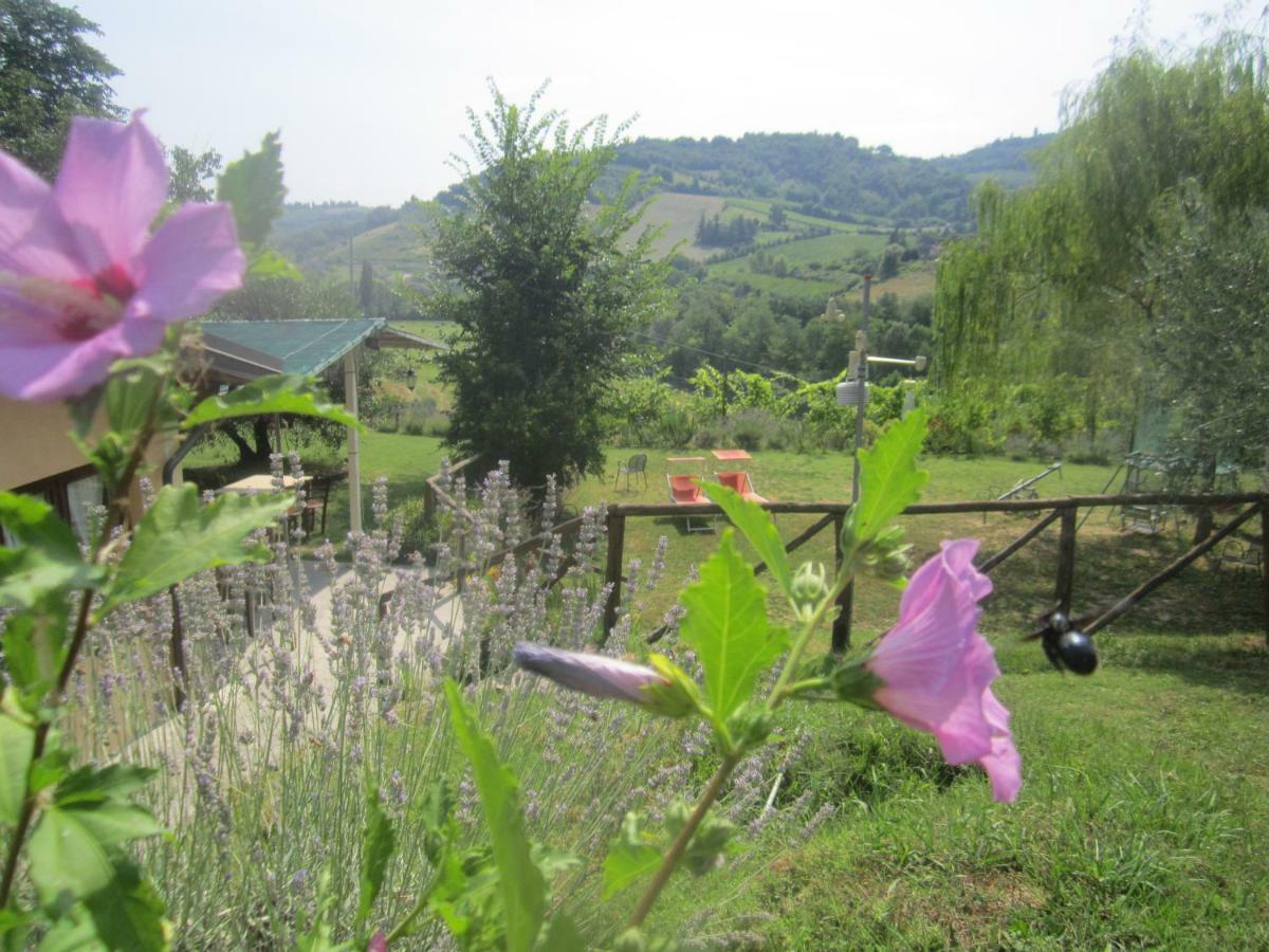 Le Spighe Agriturismo Чезена Екстериор снимка