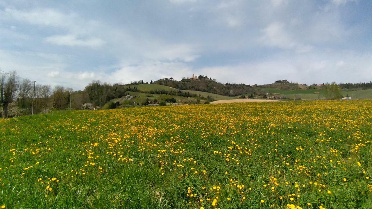Le Spighe Agriturismo Чезена Екстериор снимка