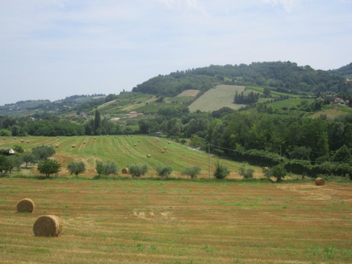 Le Spighe Agriturismo Villa Чезена Екстериор снимка