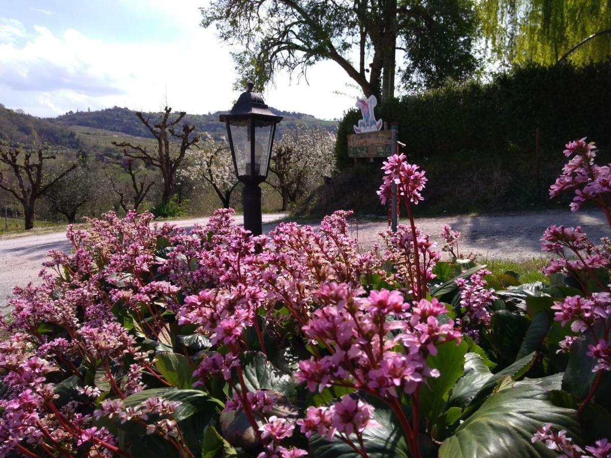 Le Spighe Agriturismo Чезена Екстериор снимка